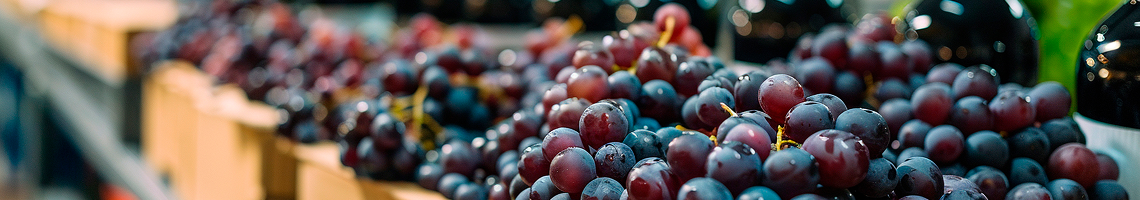 Transporte de uva, mosto y vino a temperatura controlada en Vendimia